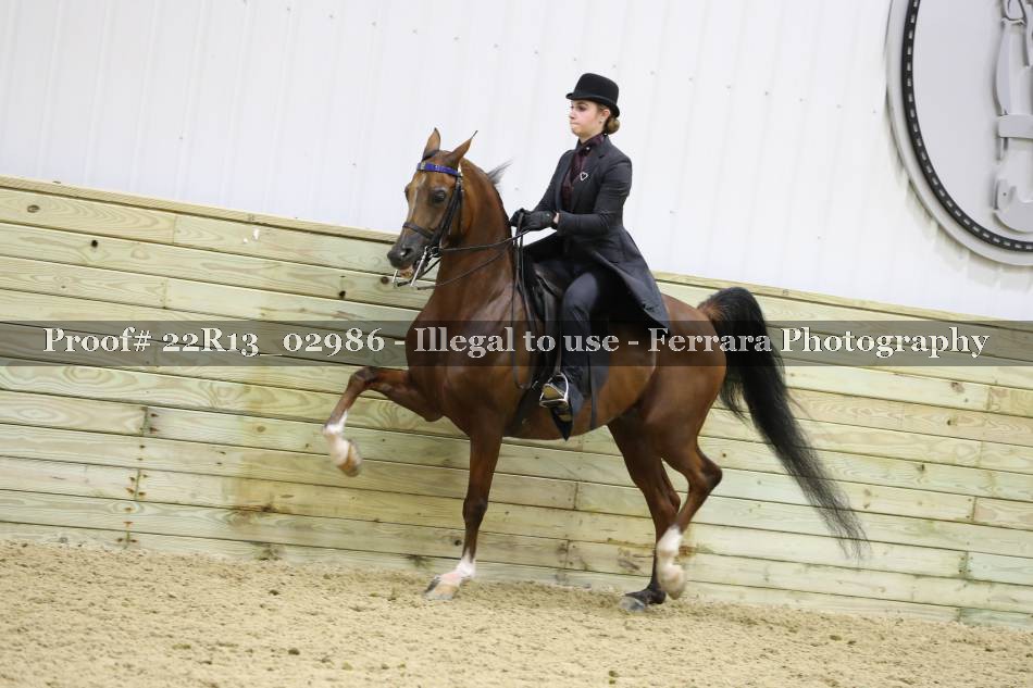 Proof 22R13_02986