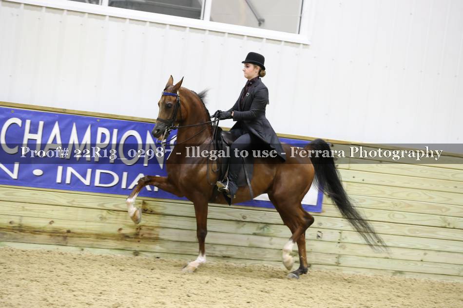 Proof 22R13_02987