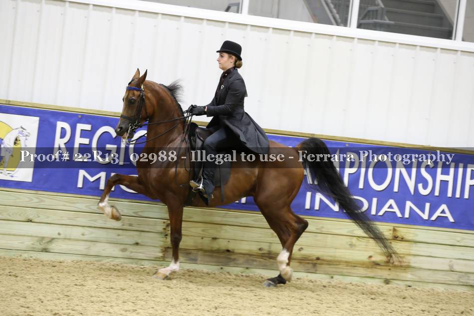 Proof 22R13_02988