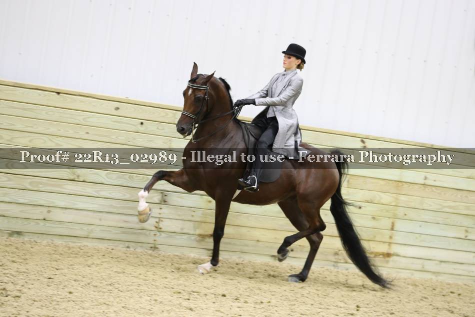 Proof 22R13_02989