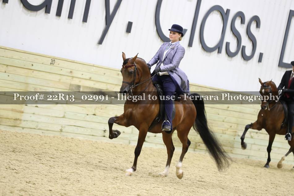 Proof 22R13_02991