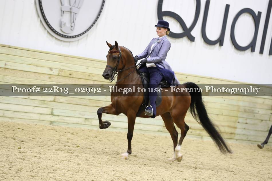 Proof 22R13_02992
