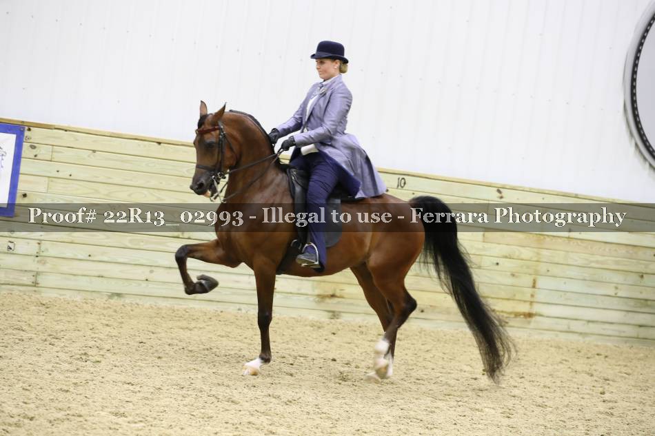 Proof 22R13_02993