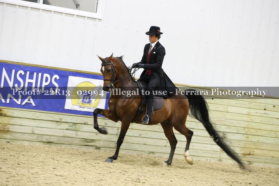 Proof 22R13_02994