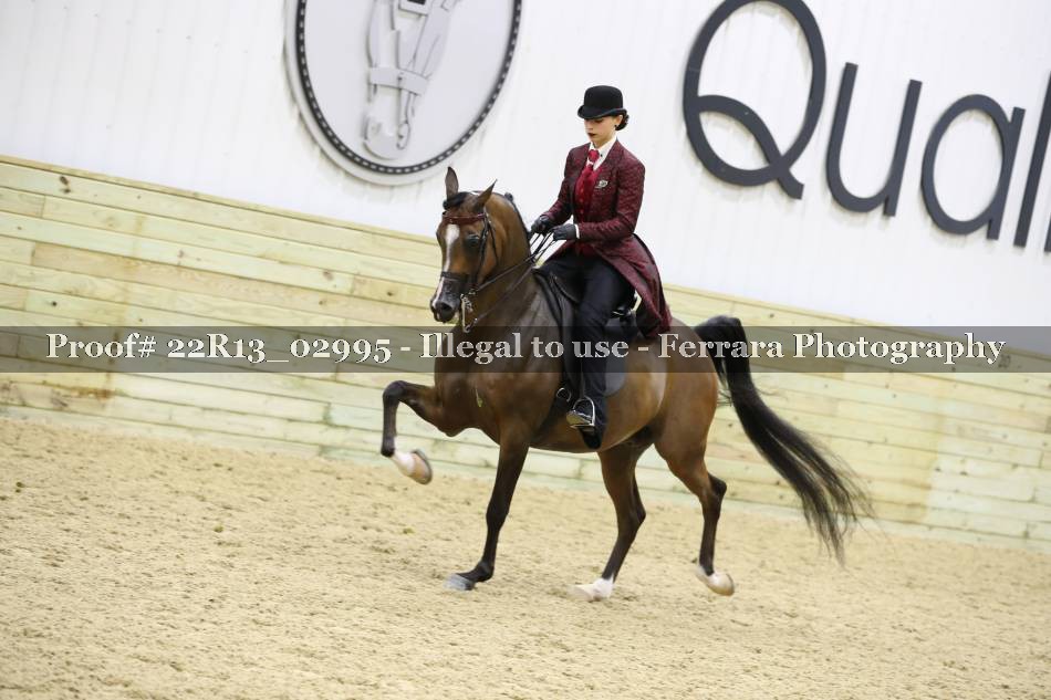 Proof 22R13_02995
