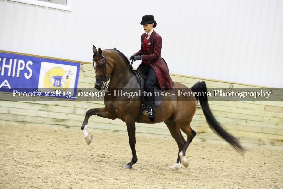 Proof 22R13_02996