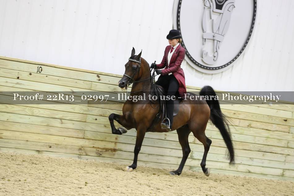 Proof 22R13_02997