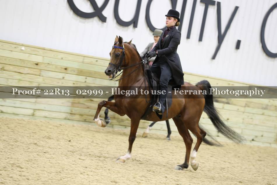 Proof 22R13_02999