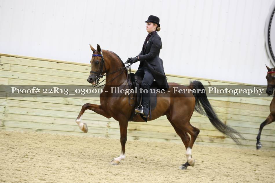 Proof 22R13_03000