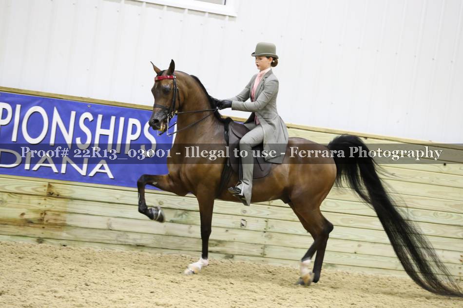 Proof 22R13_03001