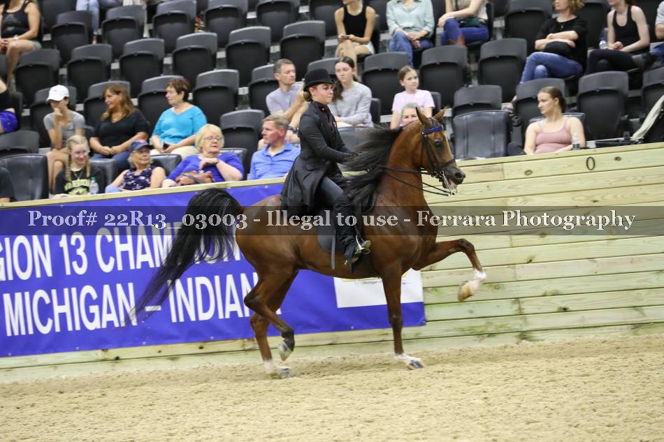 Proof 22R13_03003