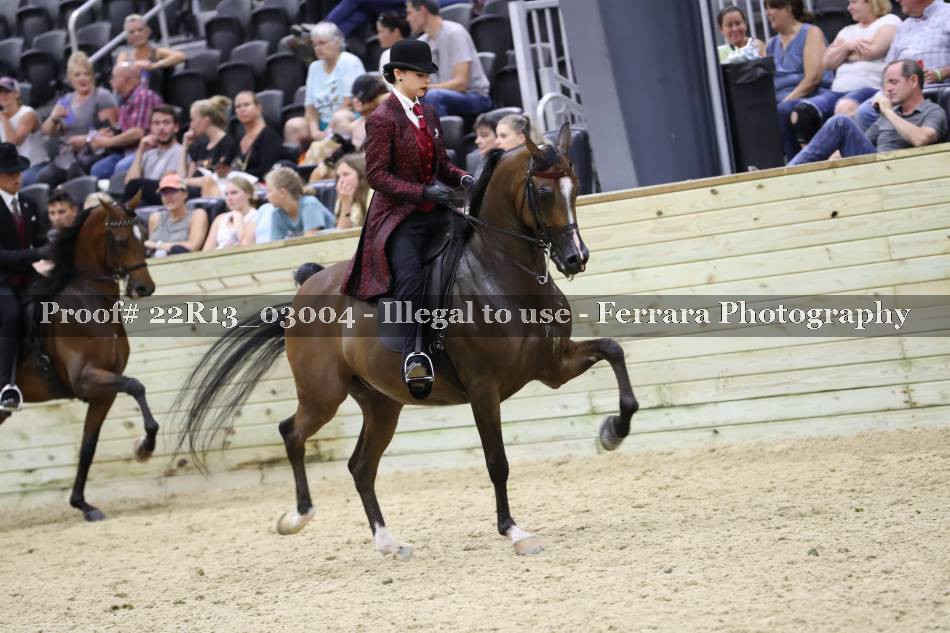 Proof 22R13_03004