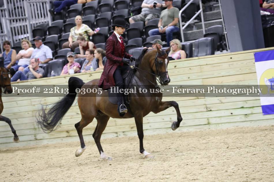 Proof 22R13_03005