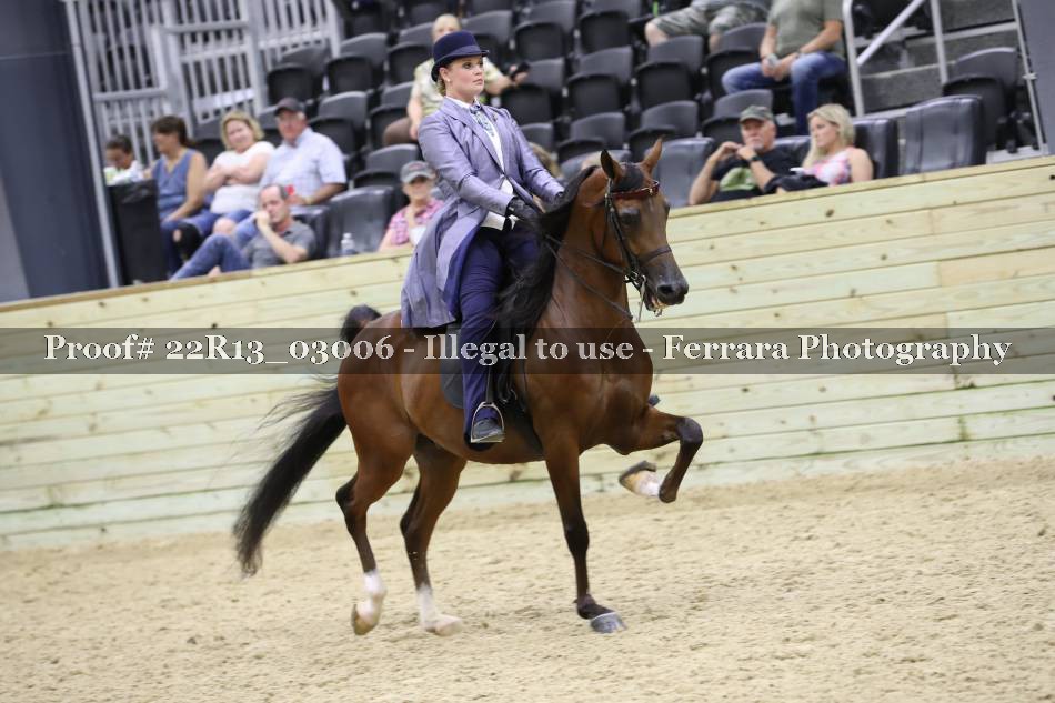 Proof 22R13_03006