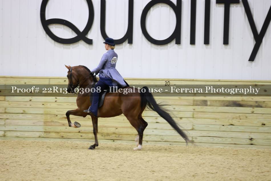 Proof 22R13_03008