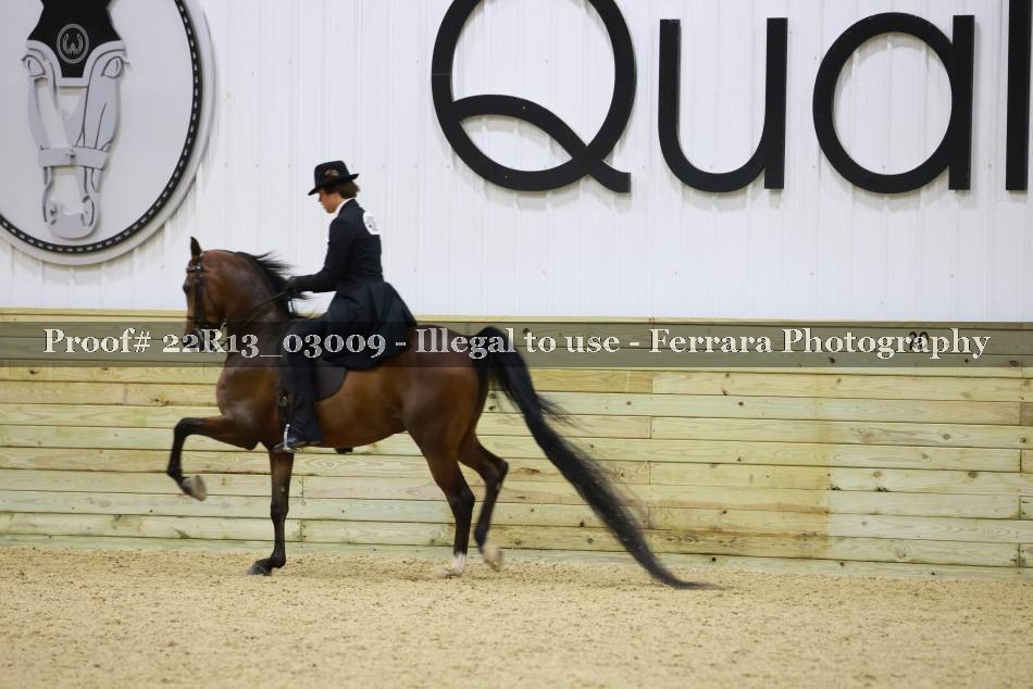 Proof 22R13_03009
