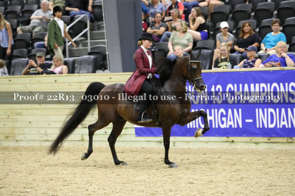 Proof 22R13_03010