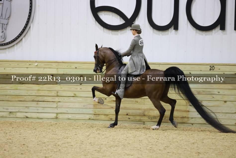 Proof 22R13_03011