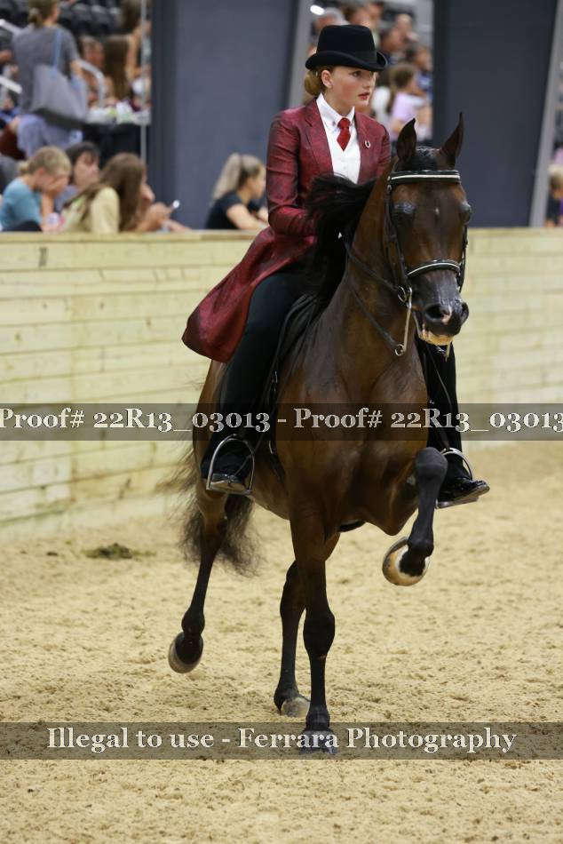 Proof 22R13_03013