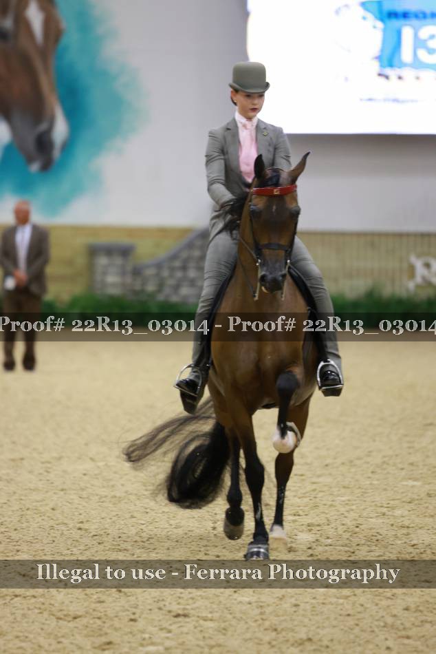 Proof 22R13_03014