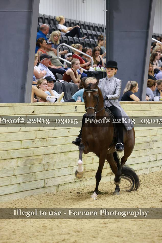 Proof 22R13_03015