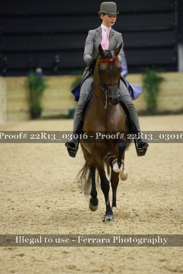 Proof 22R13_03016