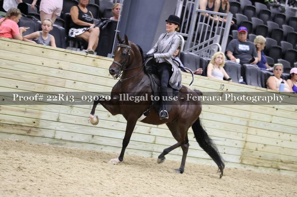 Proof 22R13_03020