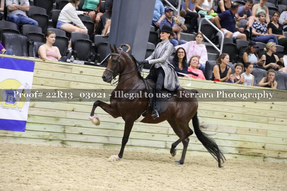Proof 22R13_03021
