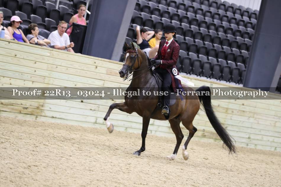 Proof 22R13_03024