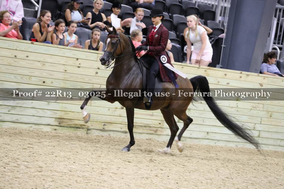Proof 22R13_03025