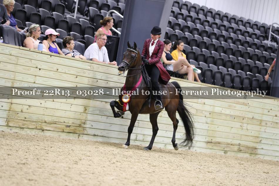 Proof 22R13_03028