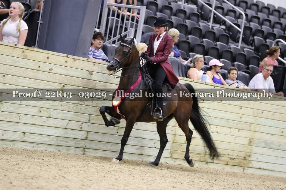 Proof 22R13_03029
