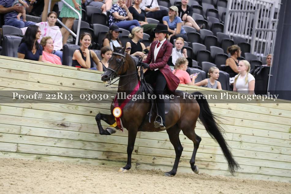 Proof 22R13_03030