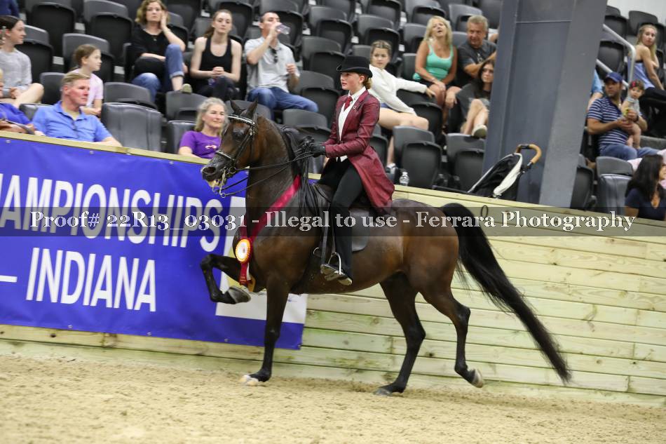 Proof 22R13_03031