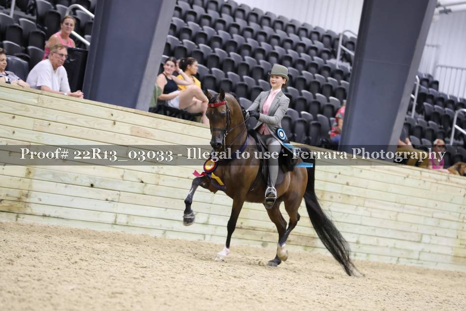 Proof 22R13_03033