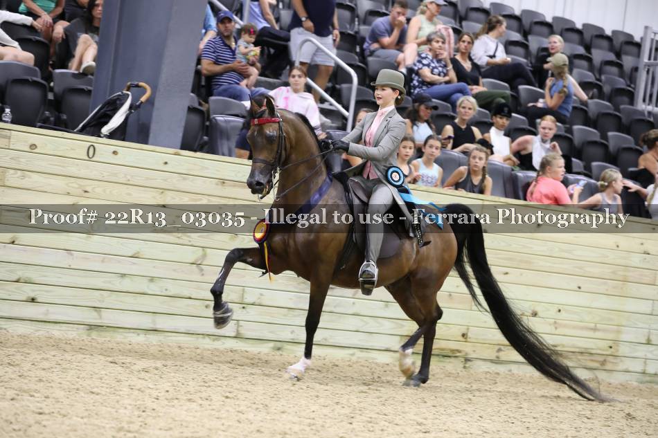 Proof 22R13_03035