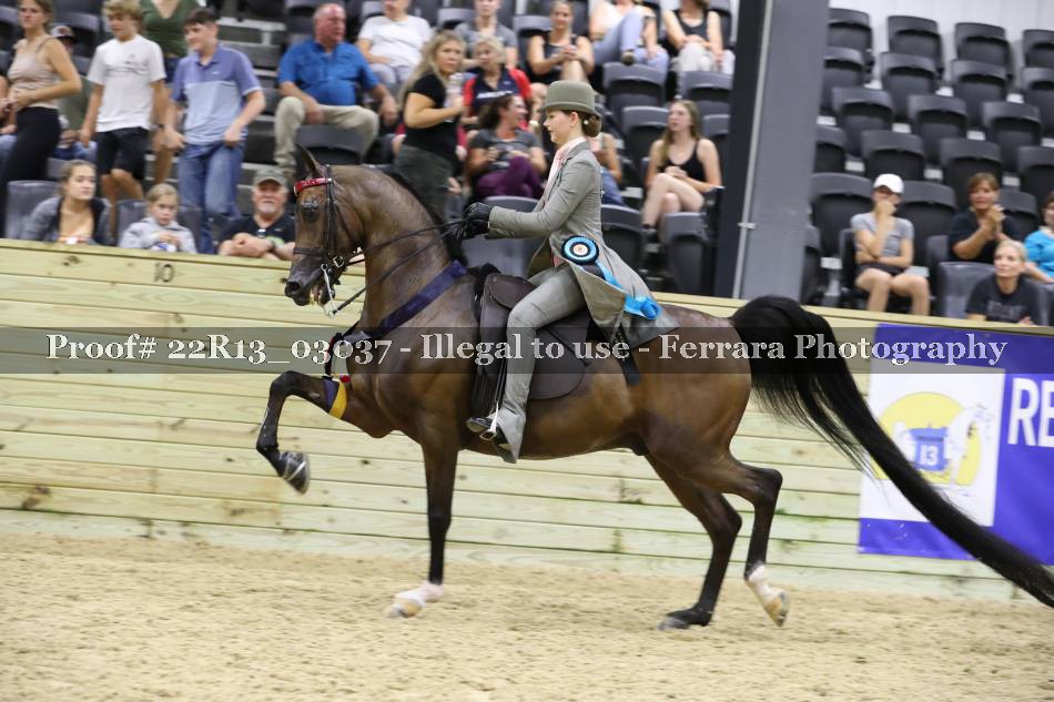 Proof 22R13_03037