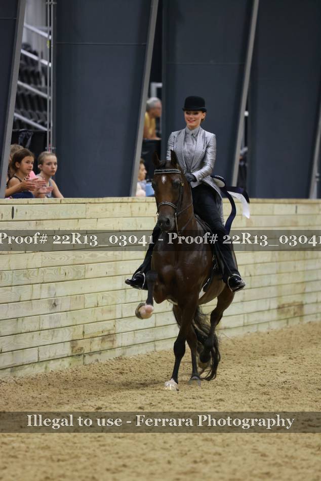Proof 22R13_03041