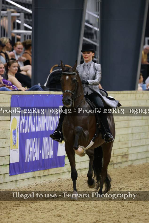 Proof 22R13_03042