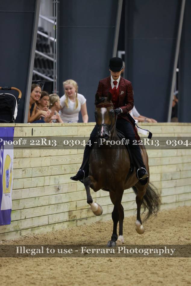 Proof 22R13_03044