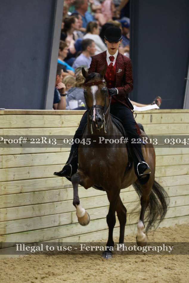 Proof 22R13_03045