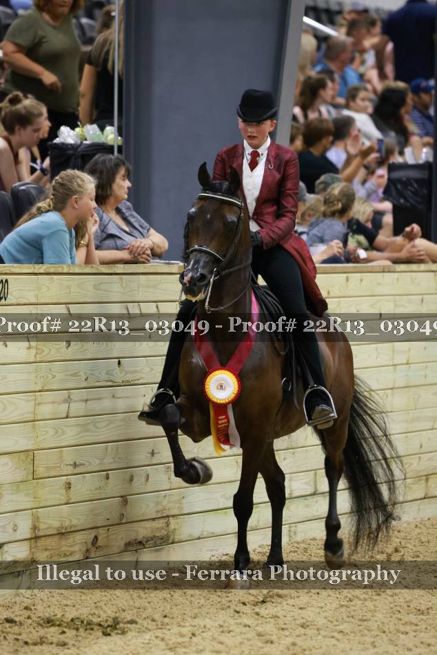 Proof 22R13_03049