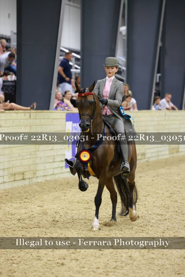 Proof 22R13_03051