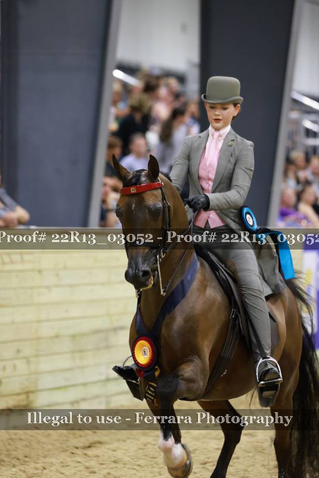 Proof 22R13_03052