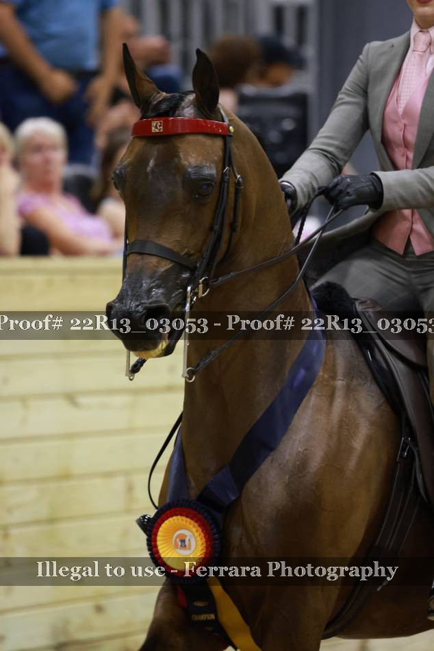 Proof 22R13_03053