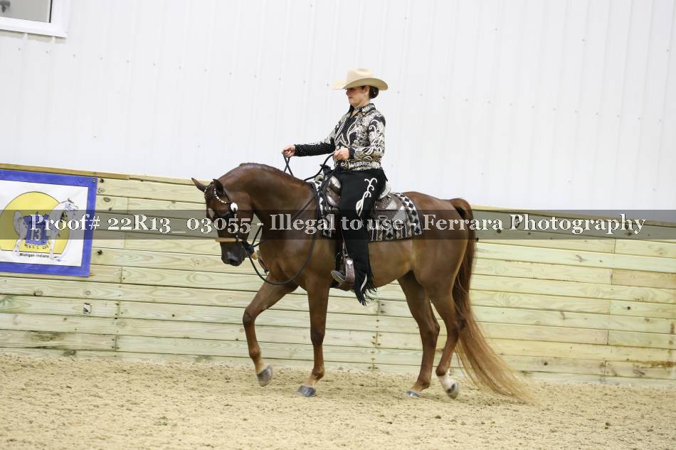 Proof 22R13_03055