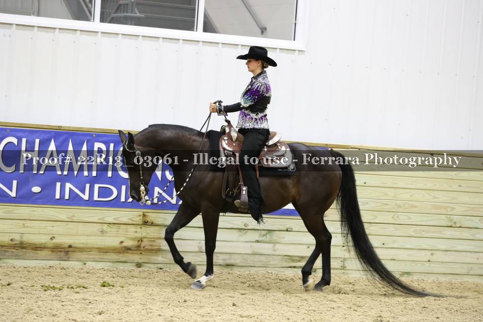 Proof 22R13_03061