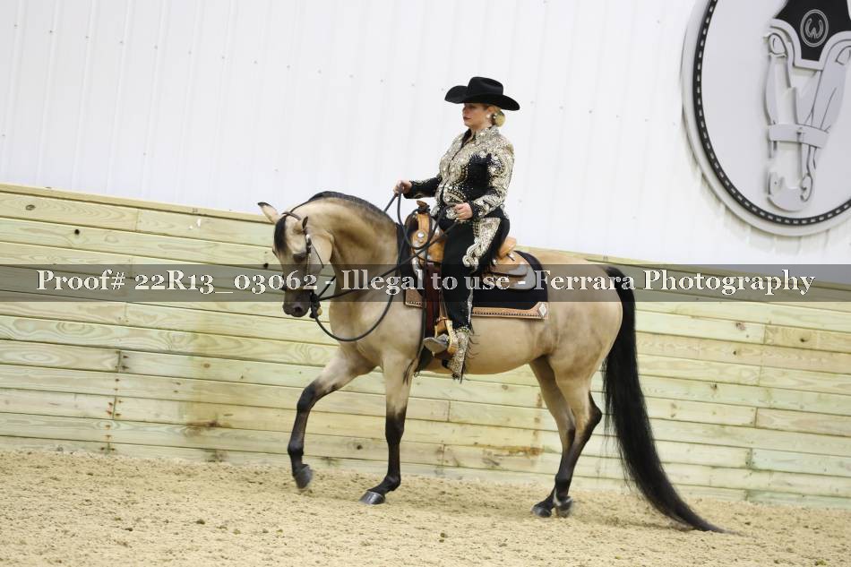 Proof 22R13_03062