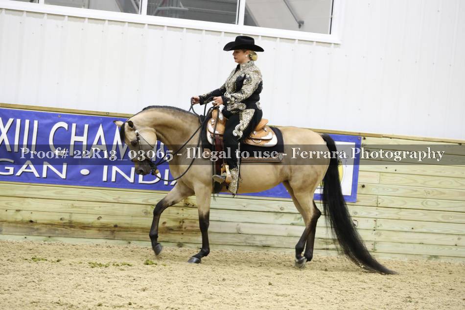 Proof 22R13_03065