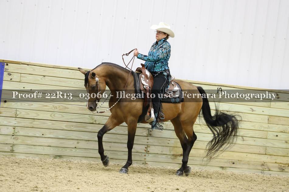 Proof 22R13_03066